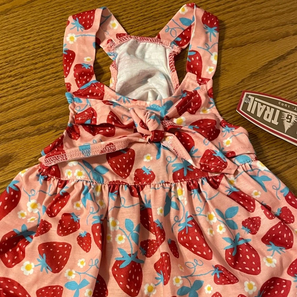 Dog outfit strawberry’s